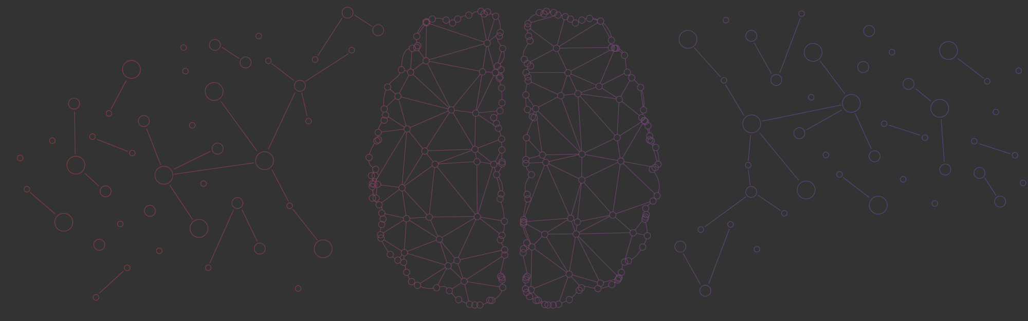 Brain networks